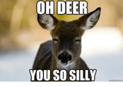 oh-deer-you-so-silly-4125165.png